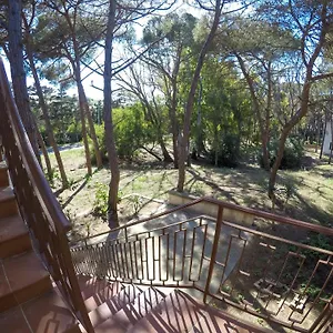 https://strategic-home.in-sardinia.net